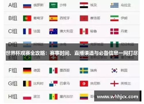 世界杯观赛全攻略：赛事时间、直播渠道与必备信息一网打尽