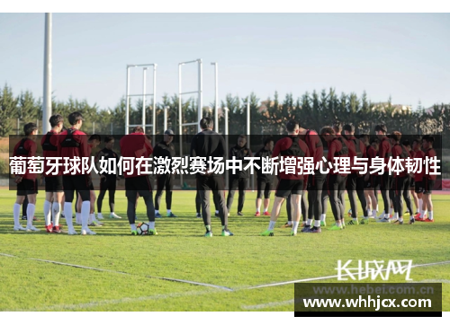 葡萄牙球队如何在激烈赛场中不断增强心理与身体韧性